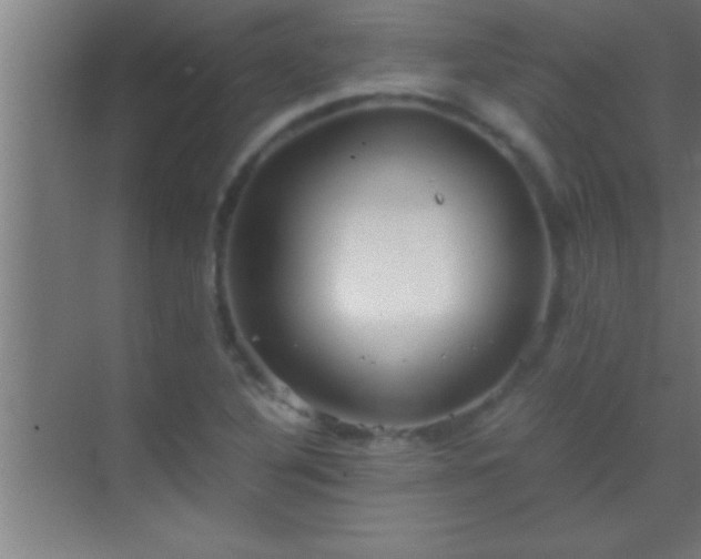 X0000069831316200605261831