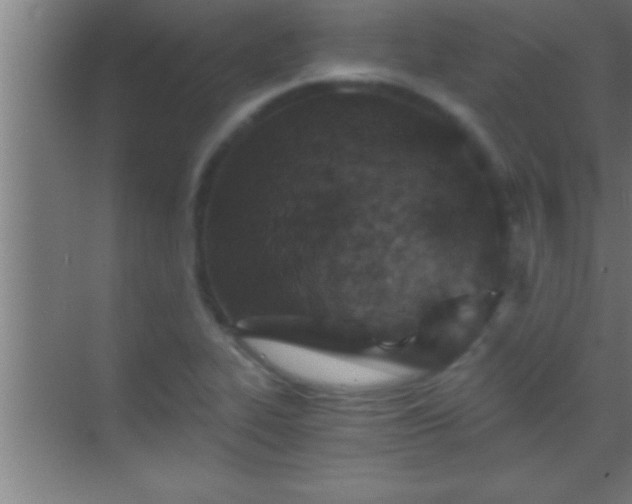 X0000069831319200605261831