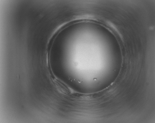 X0000069831320200605261831