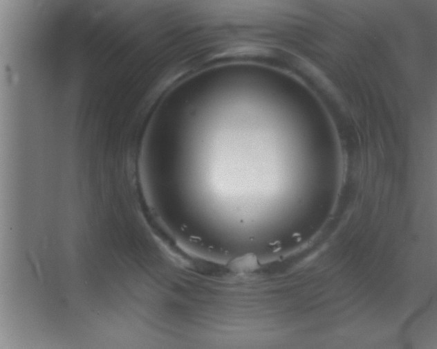 X0000069831321200605261831