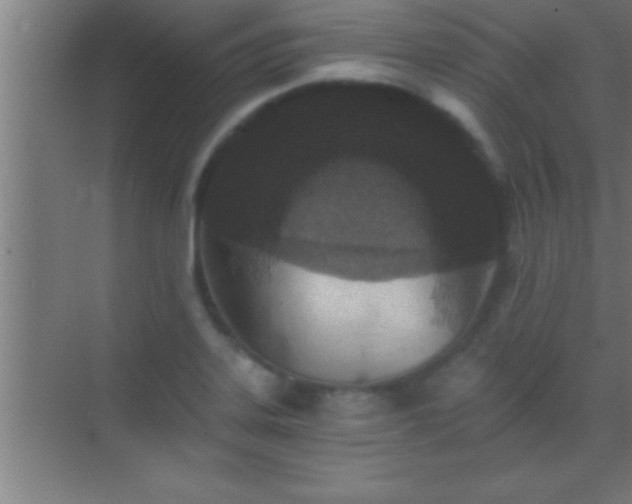 X0000069831323200605261831