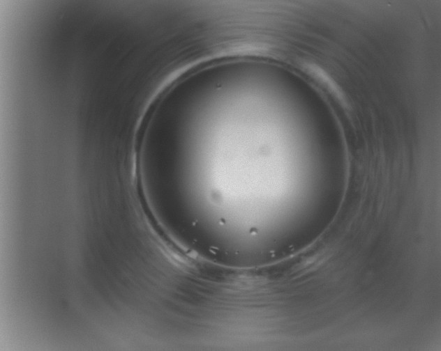 X0000069831324200605261831