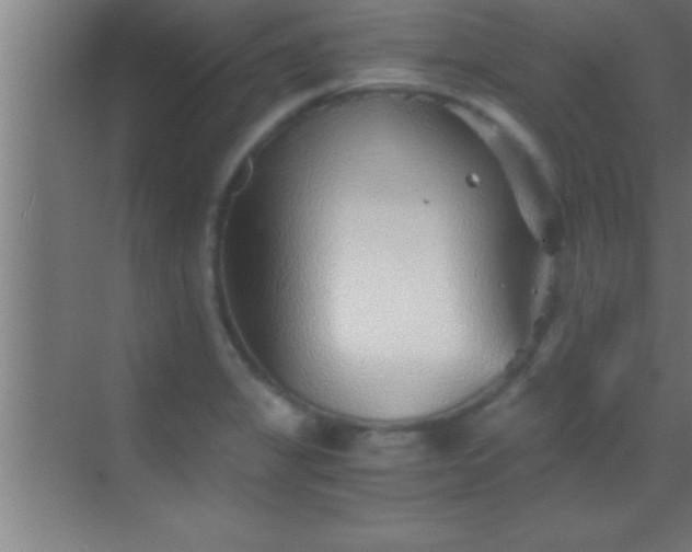 X0000069831325200605261831