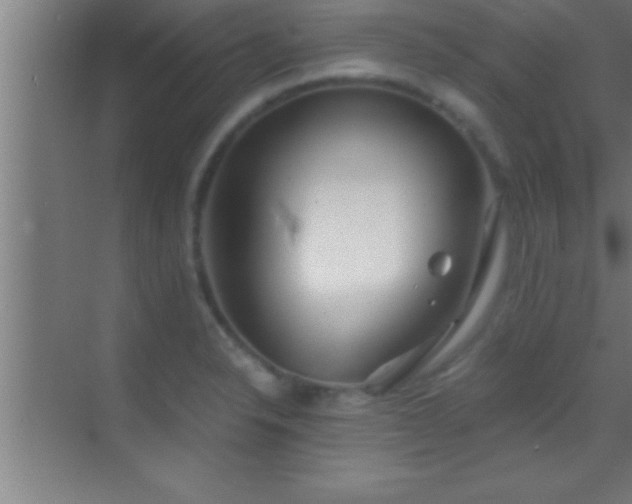 X0000069831326200605261831