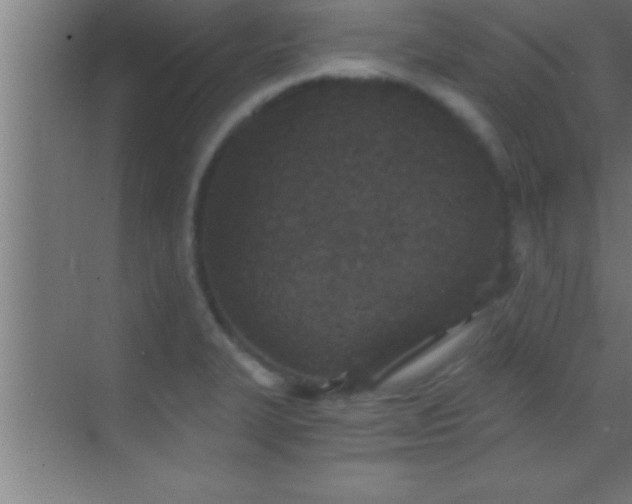 X0000069831327200605261831