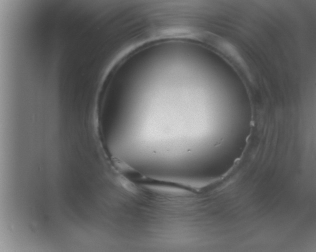 X0000069831328200605261831