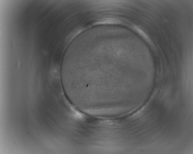 X0000069831329200605261831