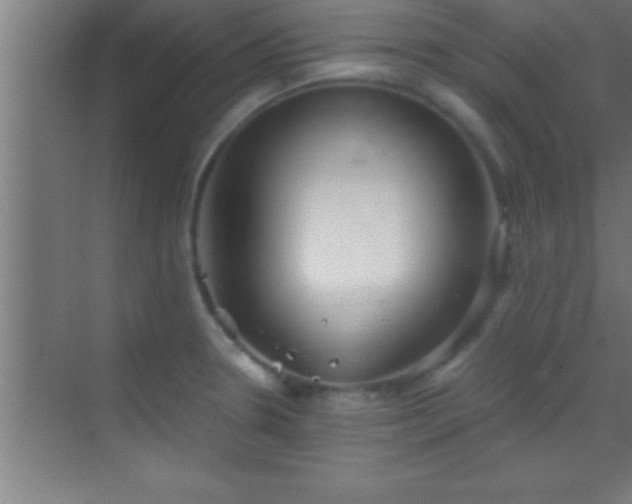 X0000069831330200605261831