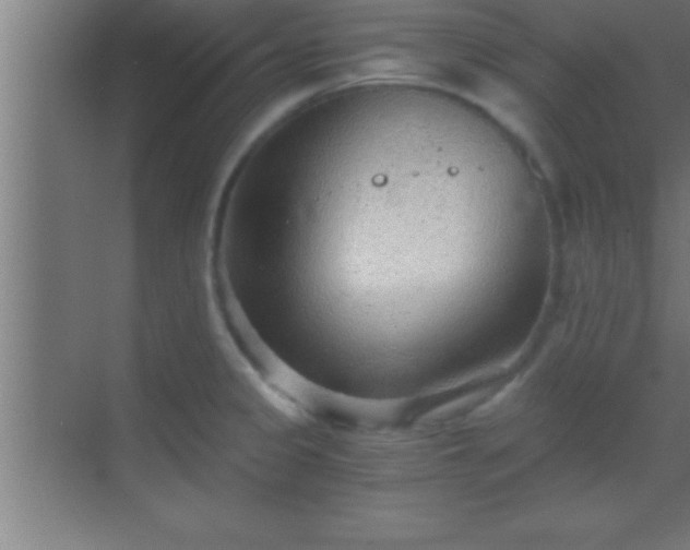 X0000069831333200605261831