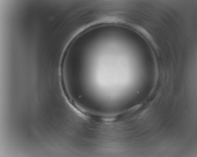 X0000069831335200605261831