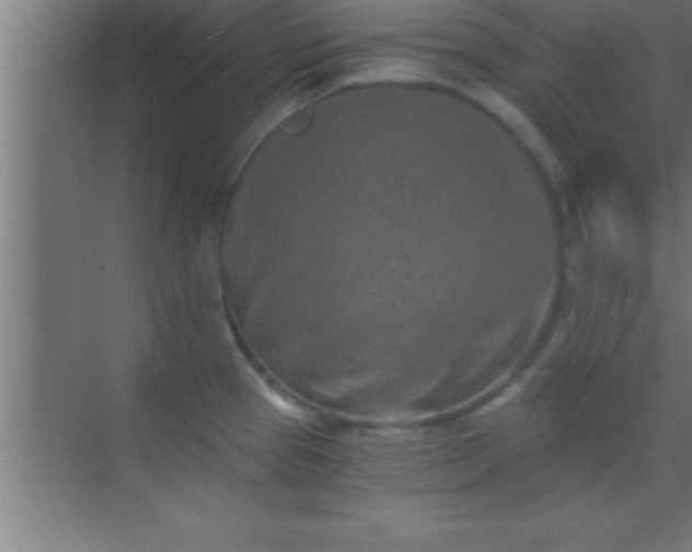 X0000069831337200605261831