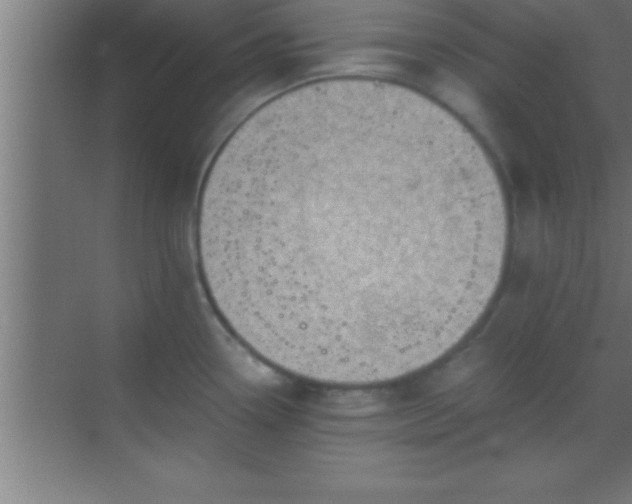 X0000069831338200605261831