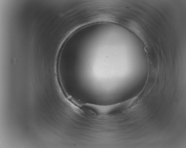 X0000069831339200605261831