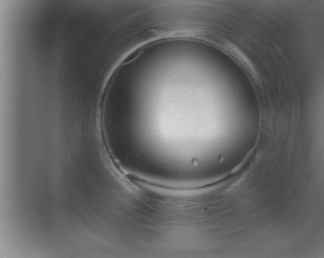 X0000069831340200605261831