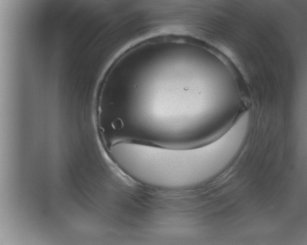 X0000069831342200605261831