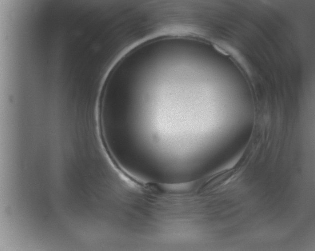 X0000069831343200605261831