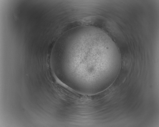 X0000069831346200605261830