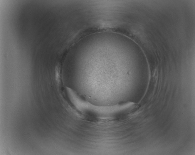 X0000069831348200605261830