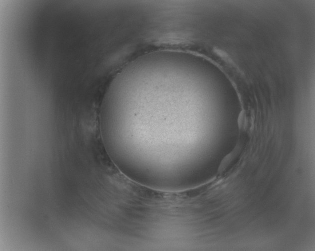 X0000069831350200605261830