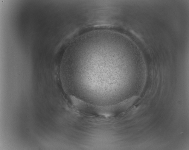 X0000069831351200605261830