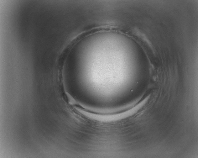 X0000069831352200605261830