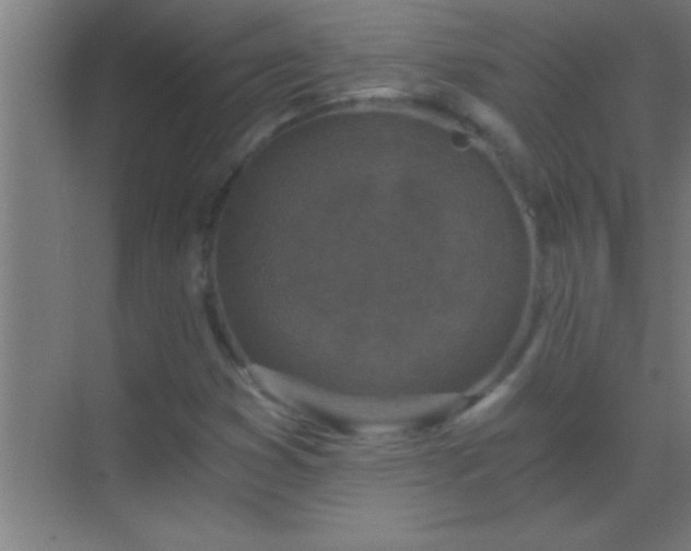 X0000069831353200605261830