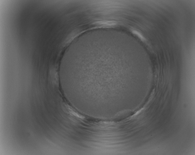 X0000069831354200605261830