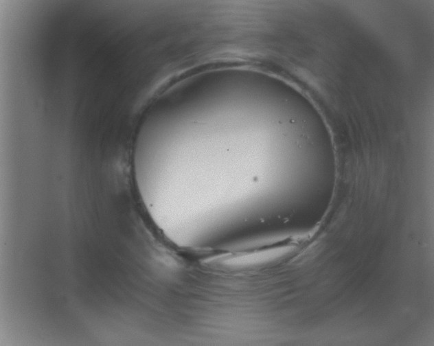 X0000069831355200605261830