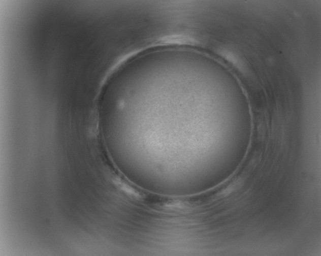 X0000069831358200605261830