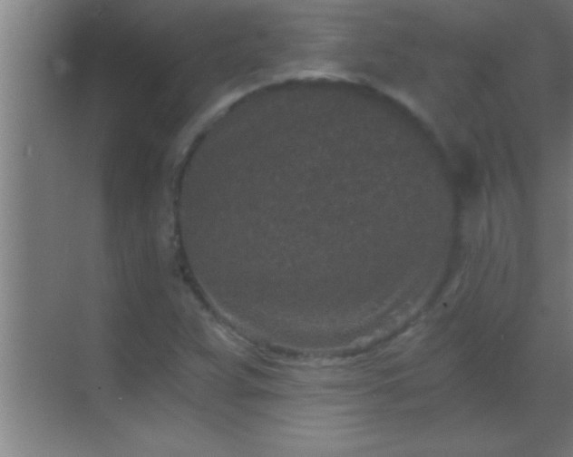 X0000069831359200605261830