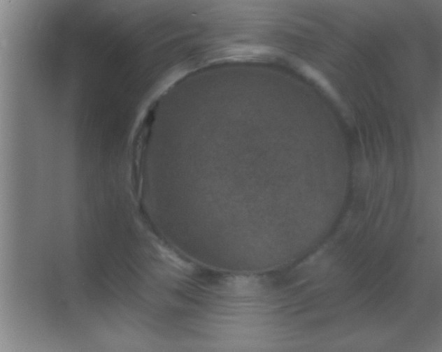 X0000069831362200605261830