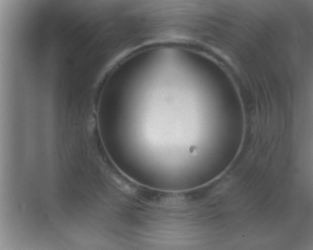 X0000069831363200605261830