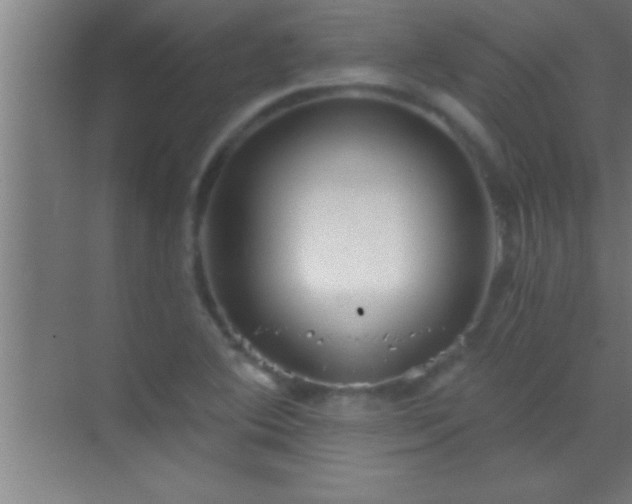 X0000069831364200605261830