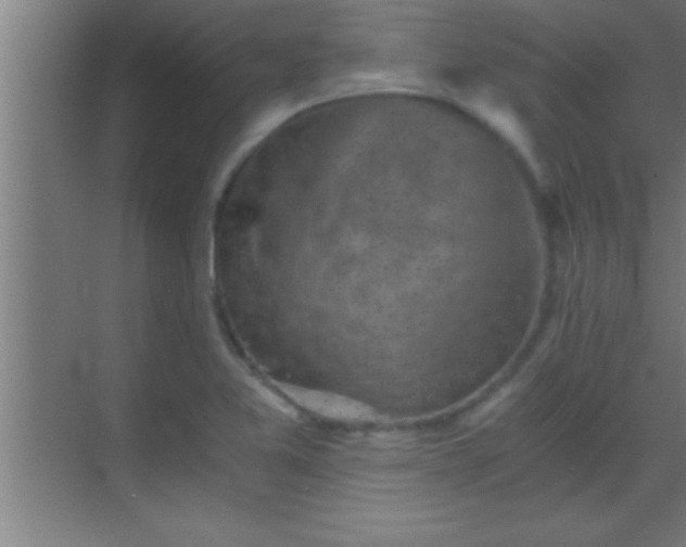 X0000069831365200605261830