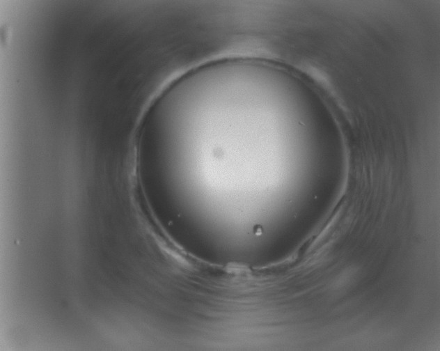 X0000069831366200605261830