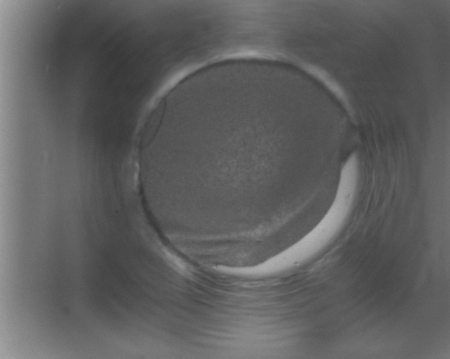 X0000069831367200605261830