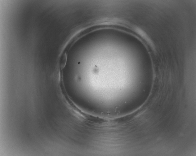 X0000069831368200605261830