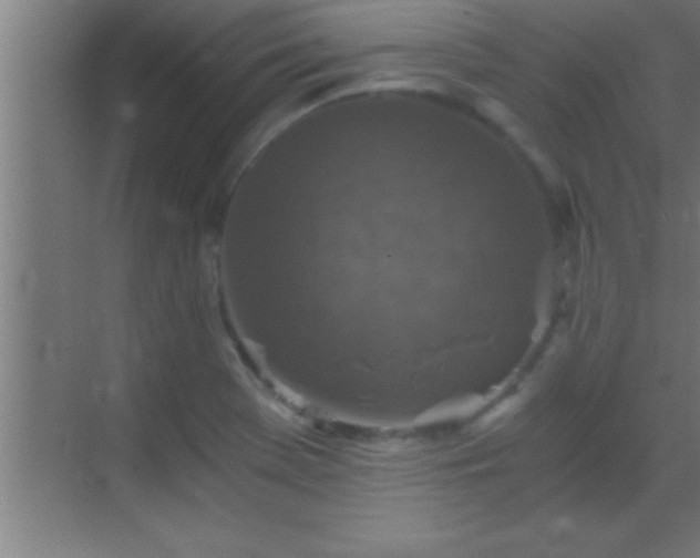 X0000069831369200605261830