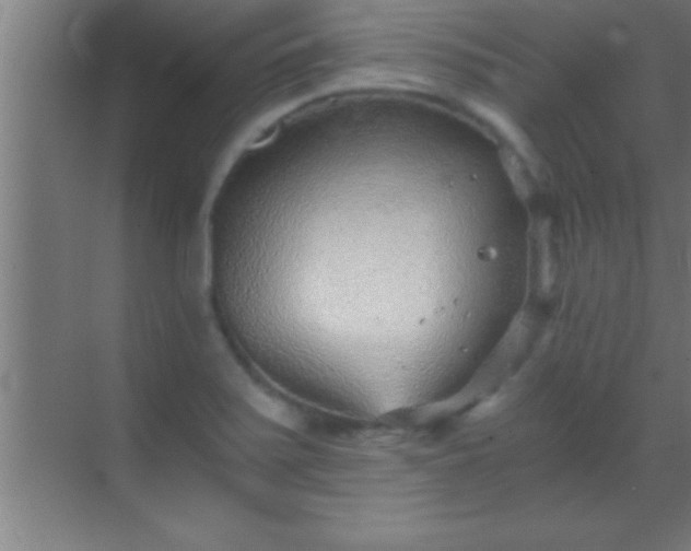 X0000069831371200605261830