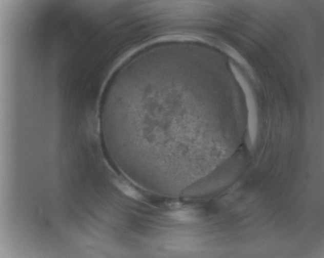 X0000069831372200605261830