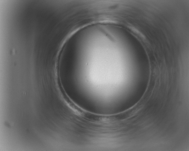 X0000069831375200605261830