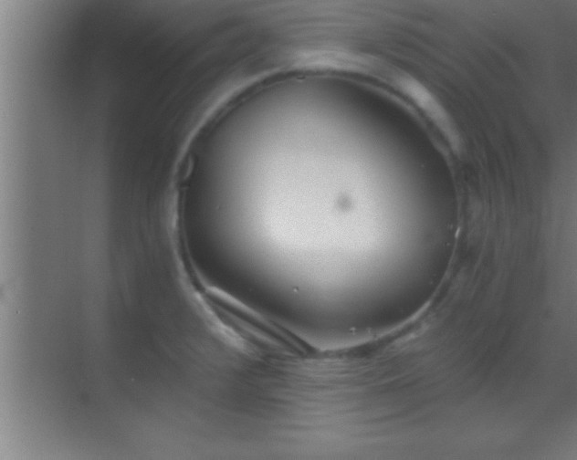 X0000069831376200605261830