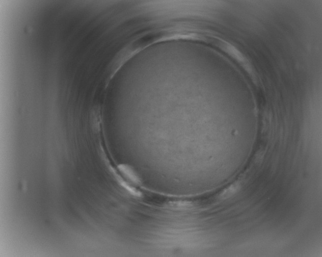 X0000069831377200605261830