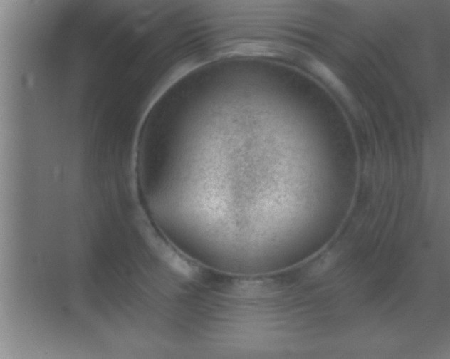 X0000069831378200605261830