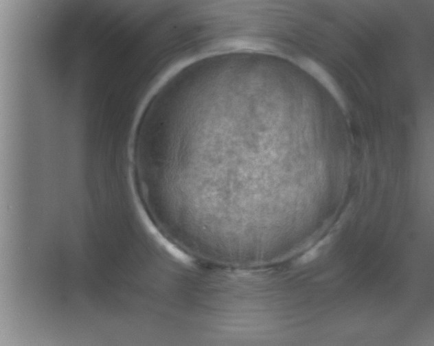 X0000069831381200605261830