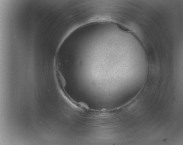 X0000069831382200605261830