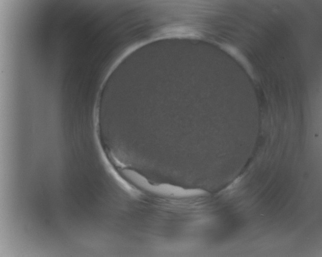 X0000069831383200605261830