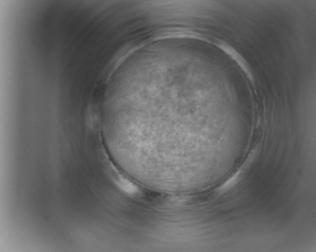 X0000069831385200605261830