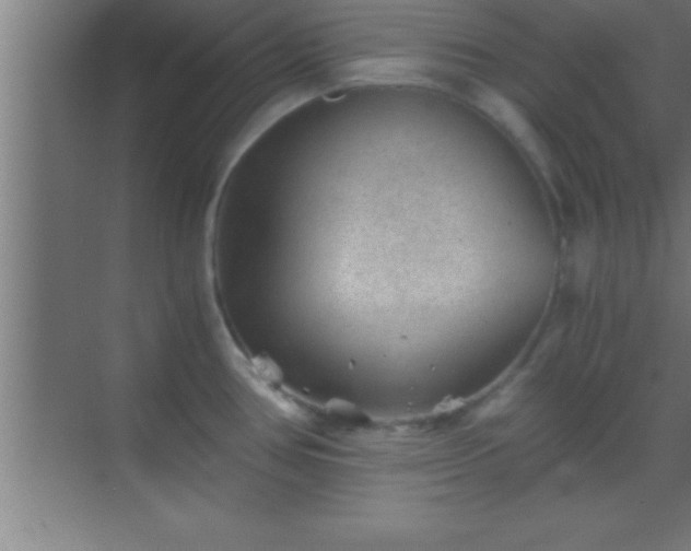 X0000069831386200605261830