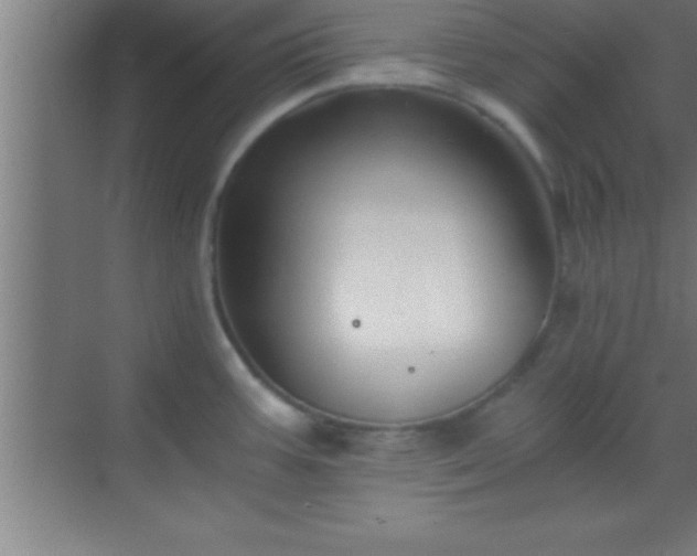 X0000069831387200605261830